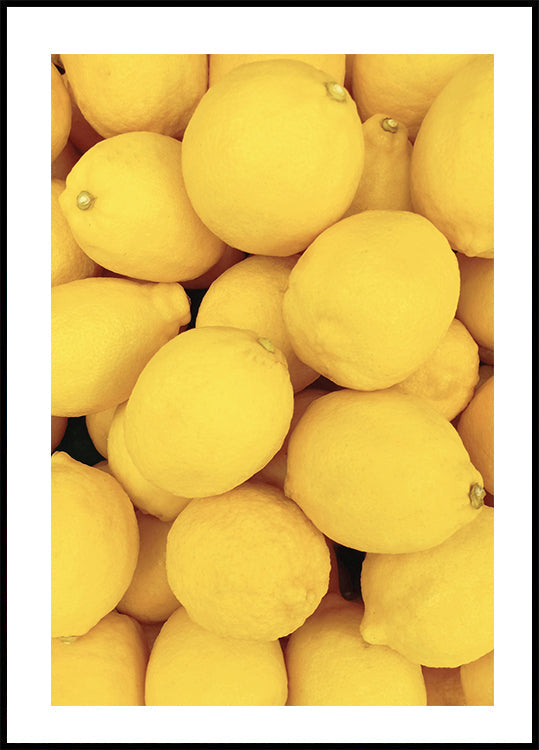 Lemons Plakat - Posterbox.dk