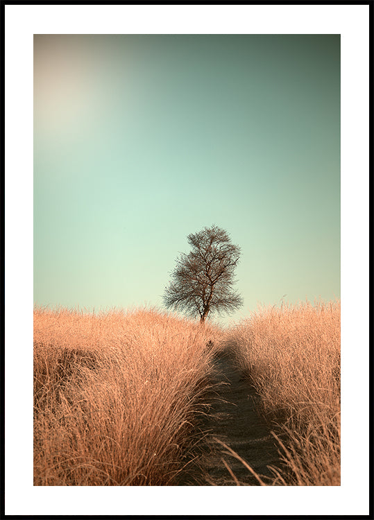 Gras en pad