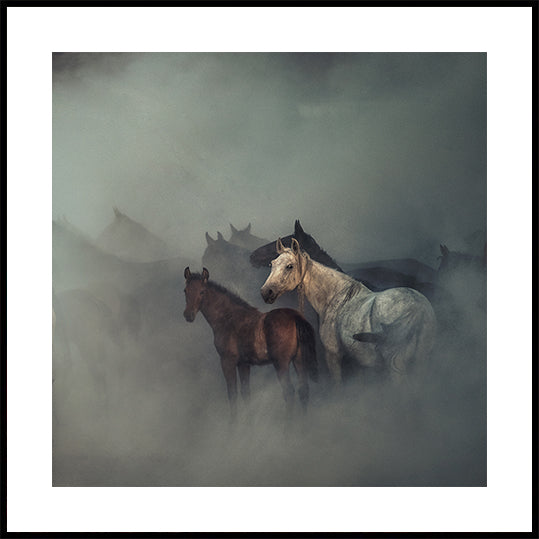 De verloren paardenposter
