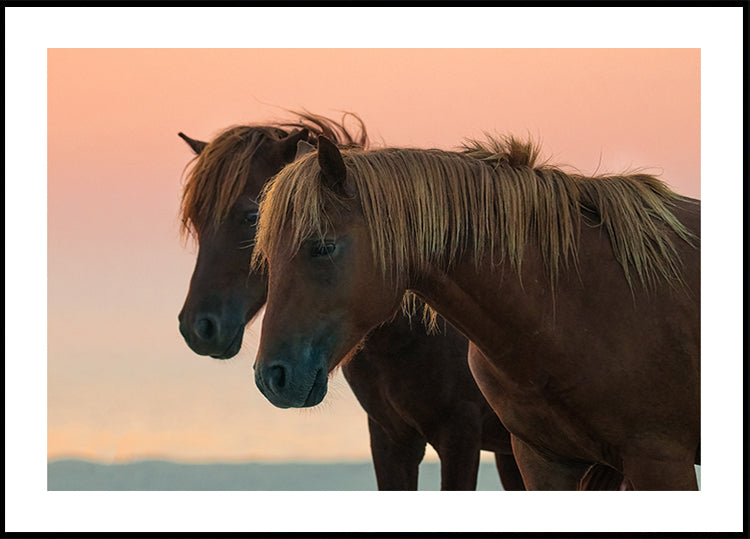 Vooruitblikkend Poster