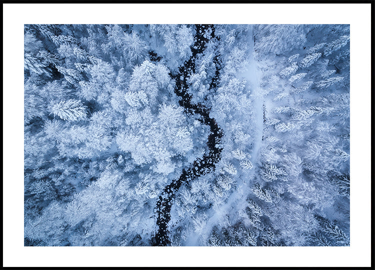 Een ijskoude schoonheidsposter