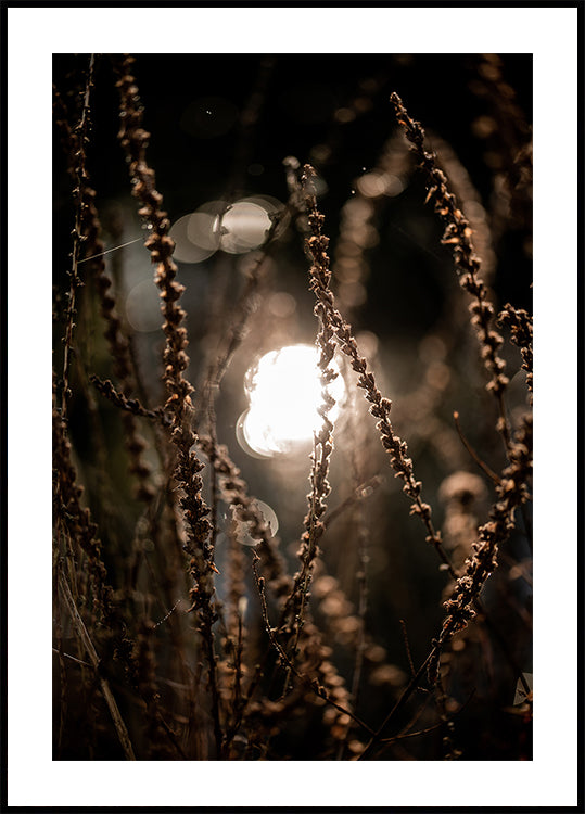 Herfstverlichting 2