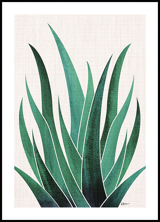 Woestijn Agave Cactus Poster