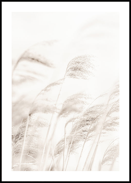 REED-poster