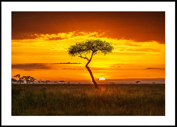 Primordiaal Afrika Poster