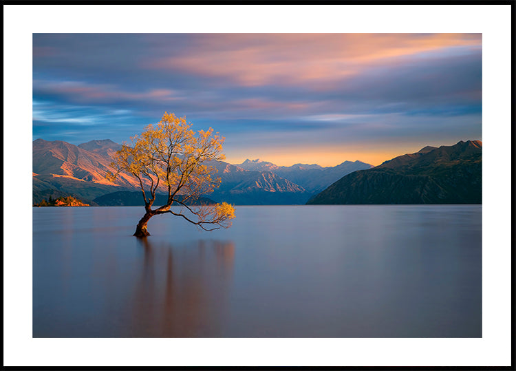 Ochtend gloed poster