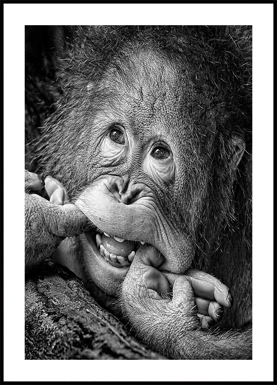 Grote glimlach... alstublieft poster