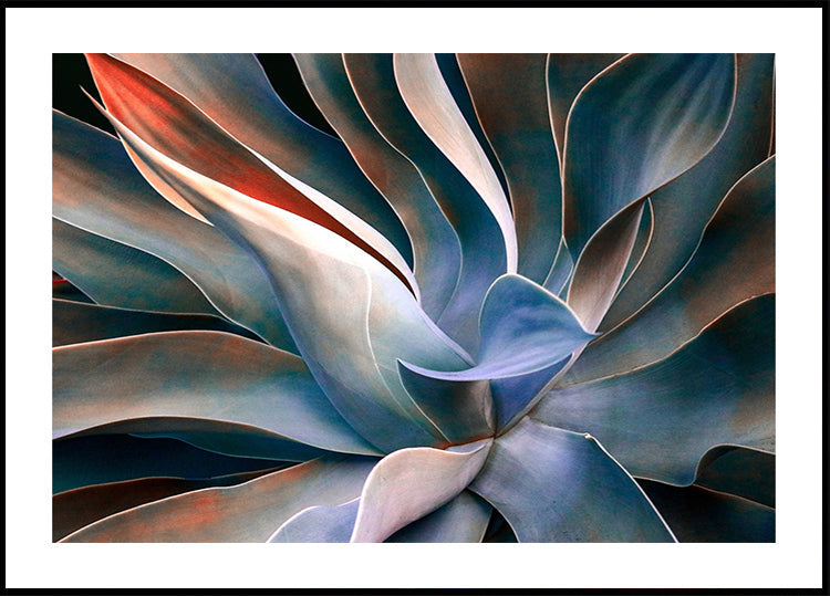 De kleuren in bladeren Poster