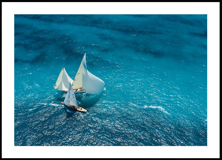 Croisement blauw