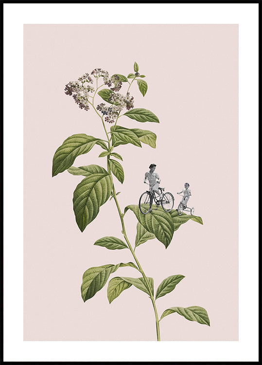 Botanisch fietsen
