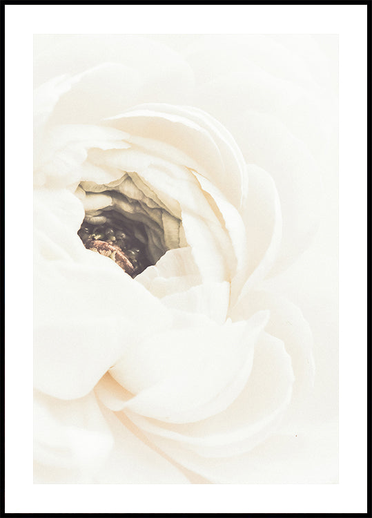 Witte bloem nr. 1 poster