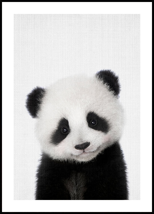 Kiekeboe babypanda