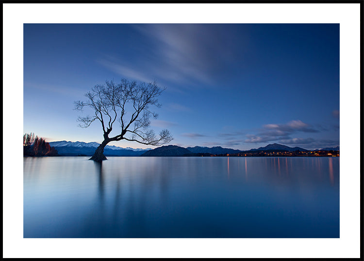 Wanaka schemering