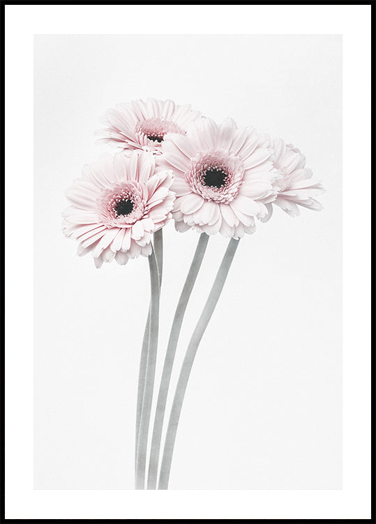 Roze bloemen-poster