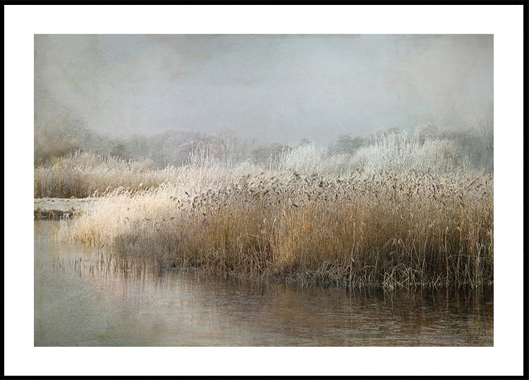 Winterochtend-poster