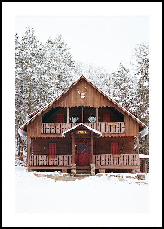 Upstate New York Sneeuw XI-poster