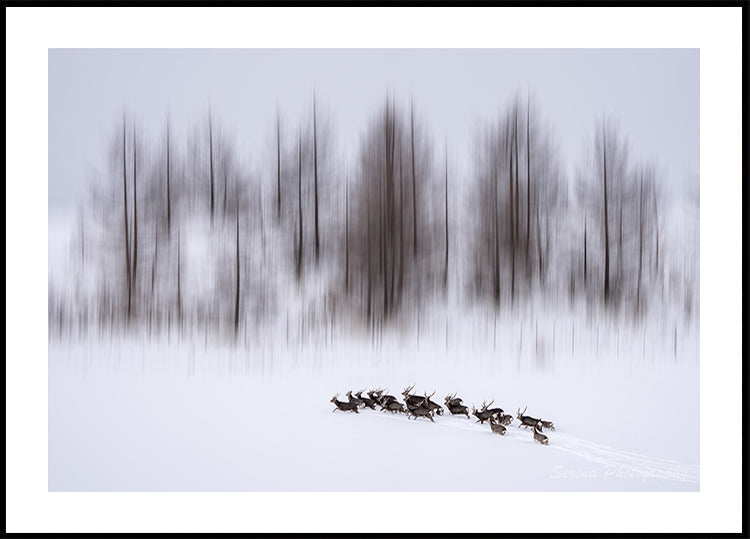 Winter in Hokkaido-poster