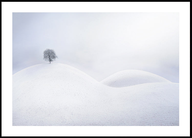 Eenzame boom op de winterduinen-poster