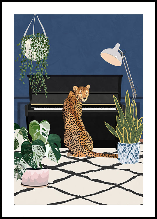 Cheetah speelt piano Poster