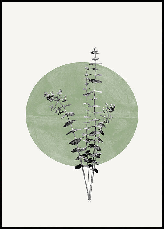 De Echo-poster van de natuur