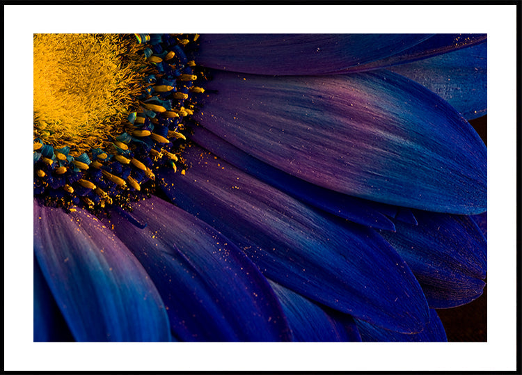 Blauwe stralen-poster