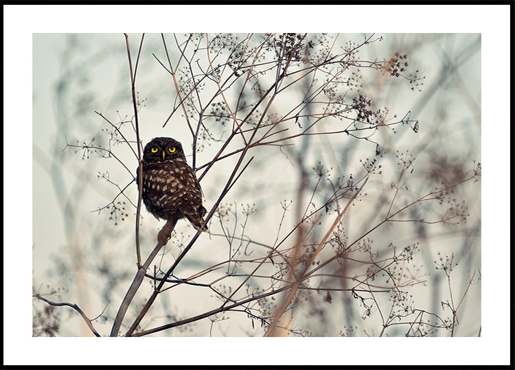 Kijk naar mij! Poster