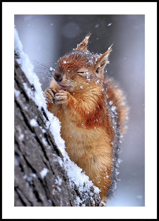 winter