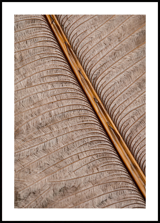 Feather_007-poster