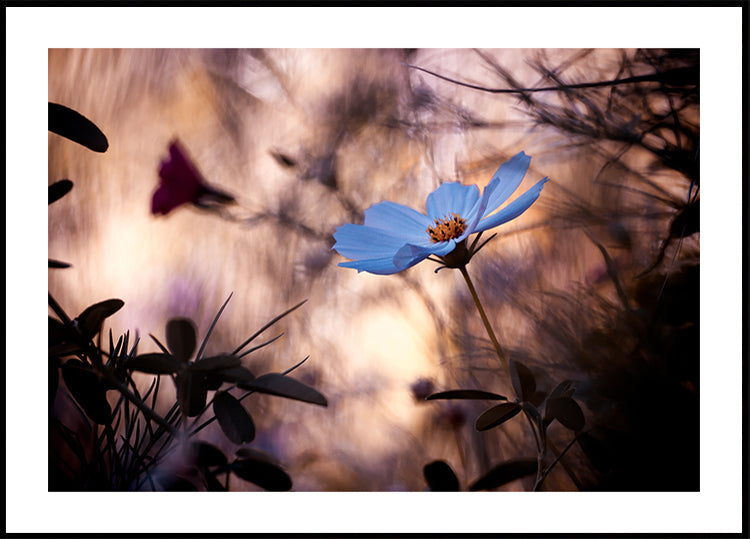 De onverschilligheid