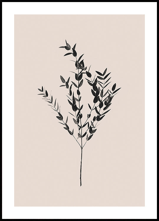 Inktachtige botanische