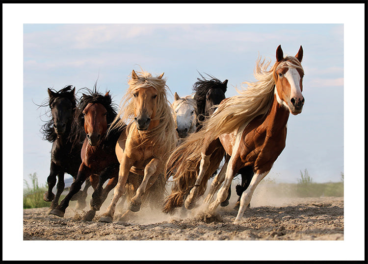 Gelukkige zes poster