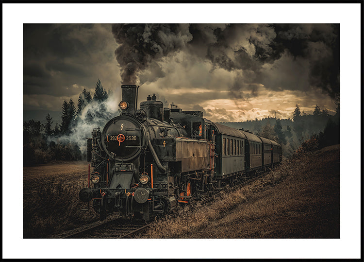 Goudzoeker trein Poster