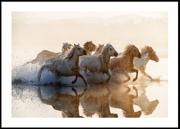 Paarden-poster