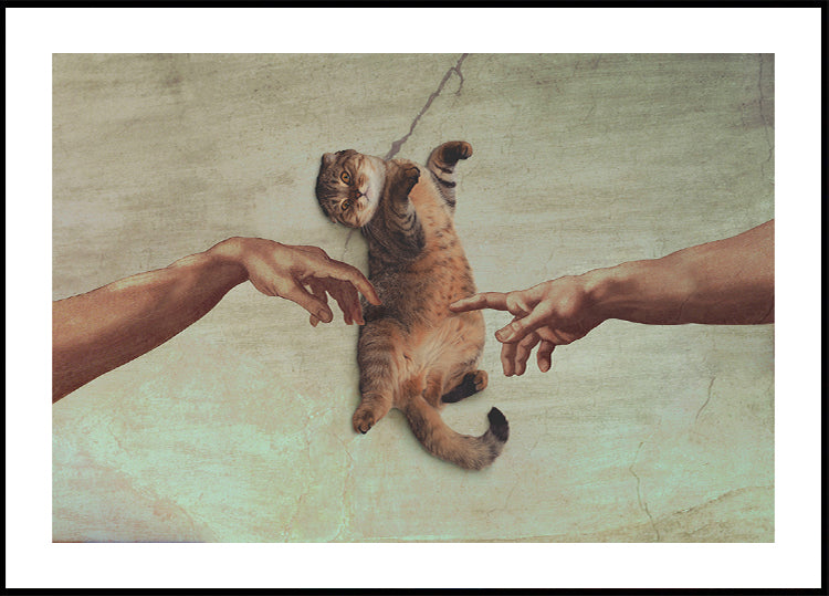 Aanraking van de Kitty