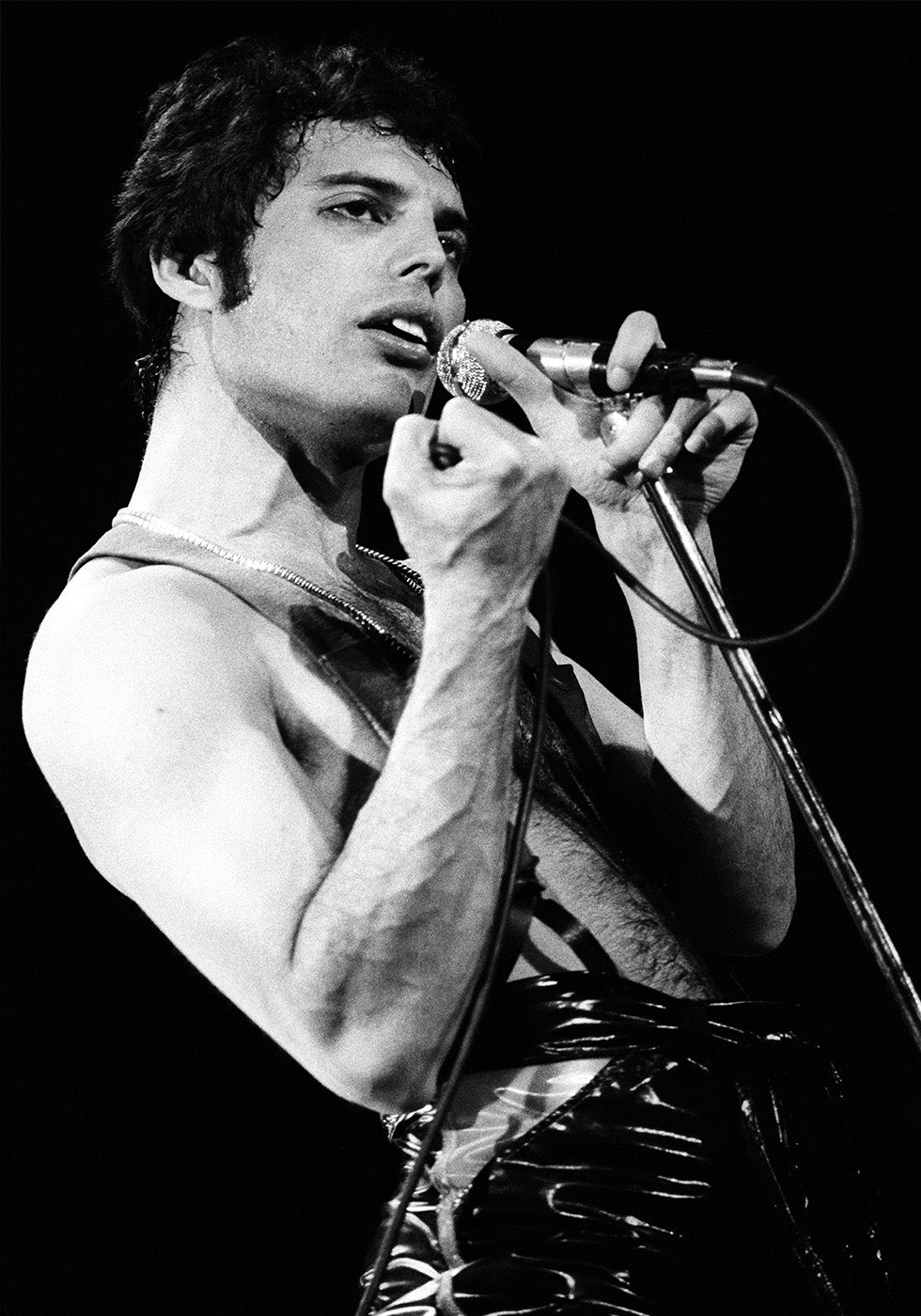 Freddie Mercury Hand Plakat - Posterbox.dk