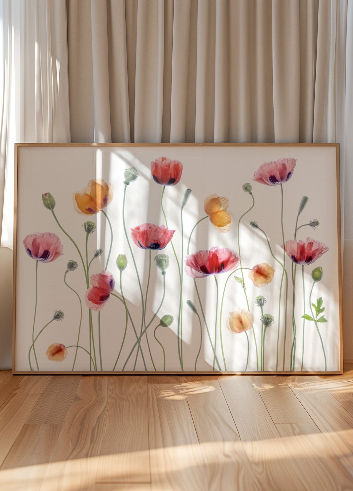 Papaver feestje
