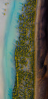 Mangrove Symphony (NEW) - Posterbox