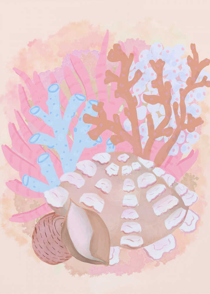 Pink Seashells (NEW) - Posterbox