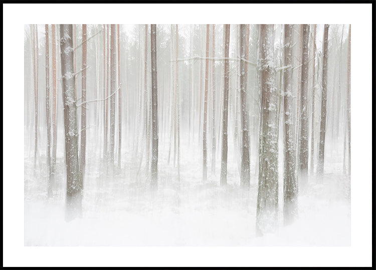 Winterforest in Sweden Plakat - Posterbox