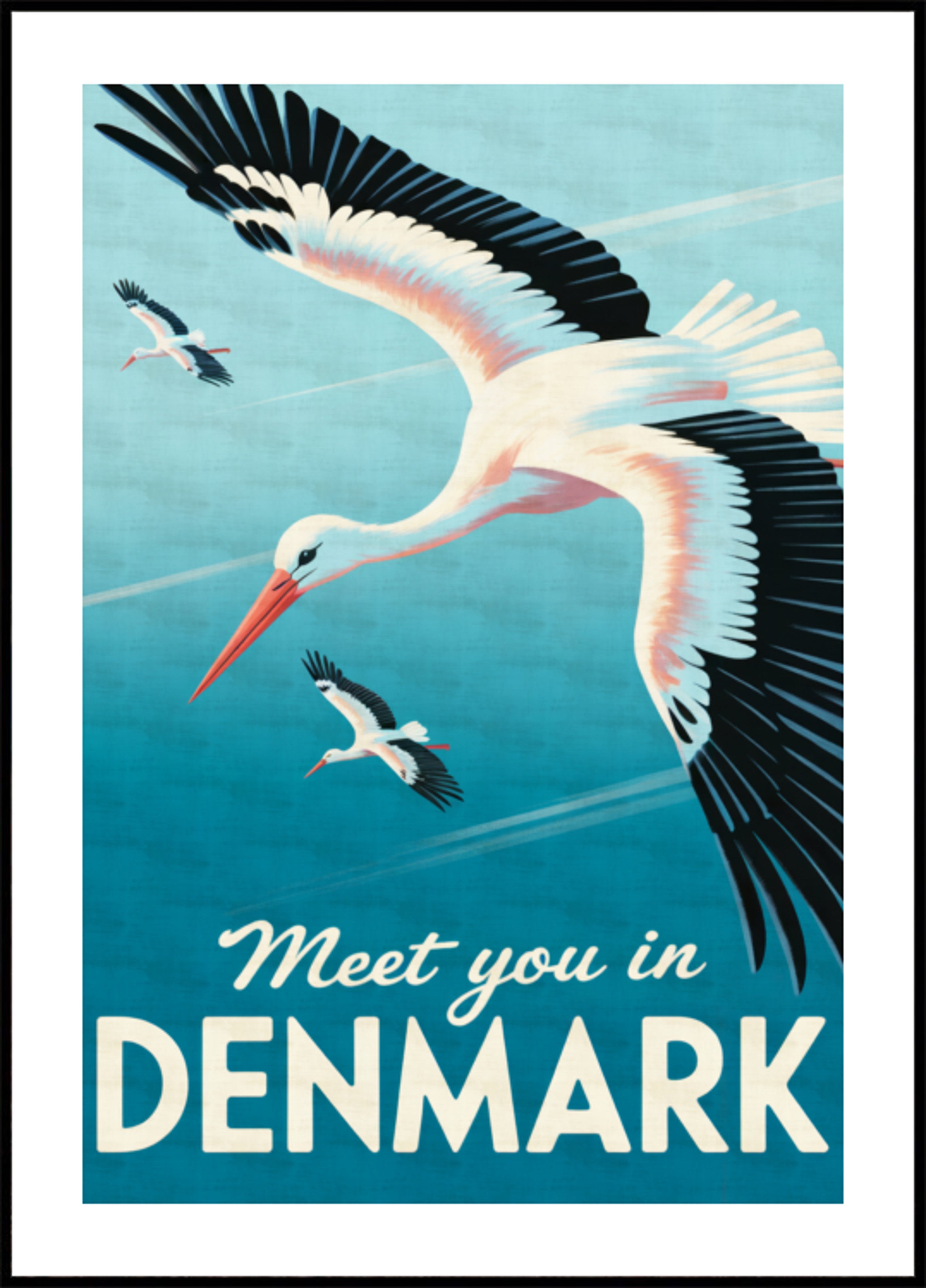 Vliegende Ooievaars Denemarken