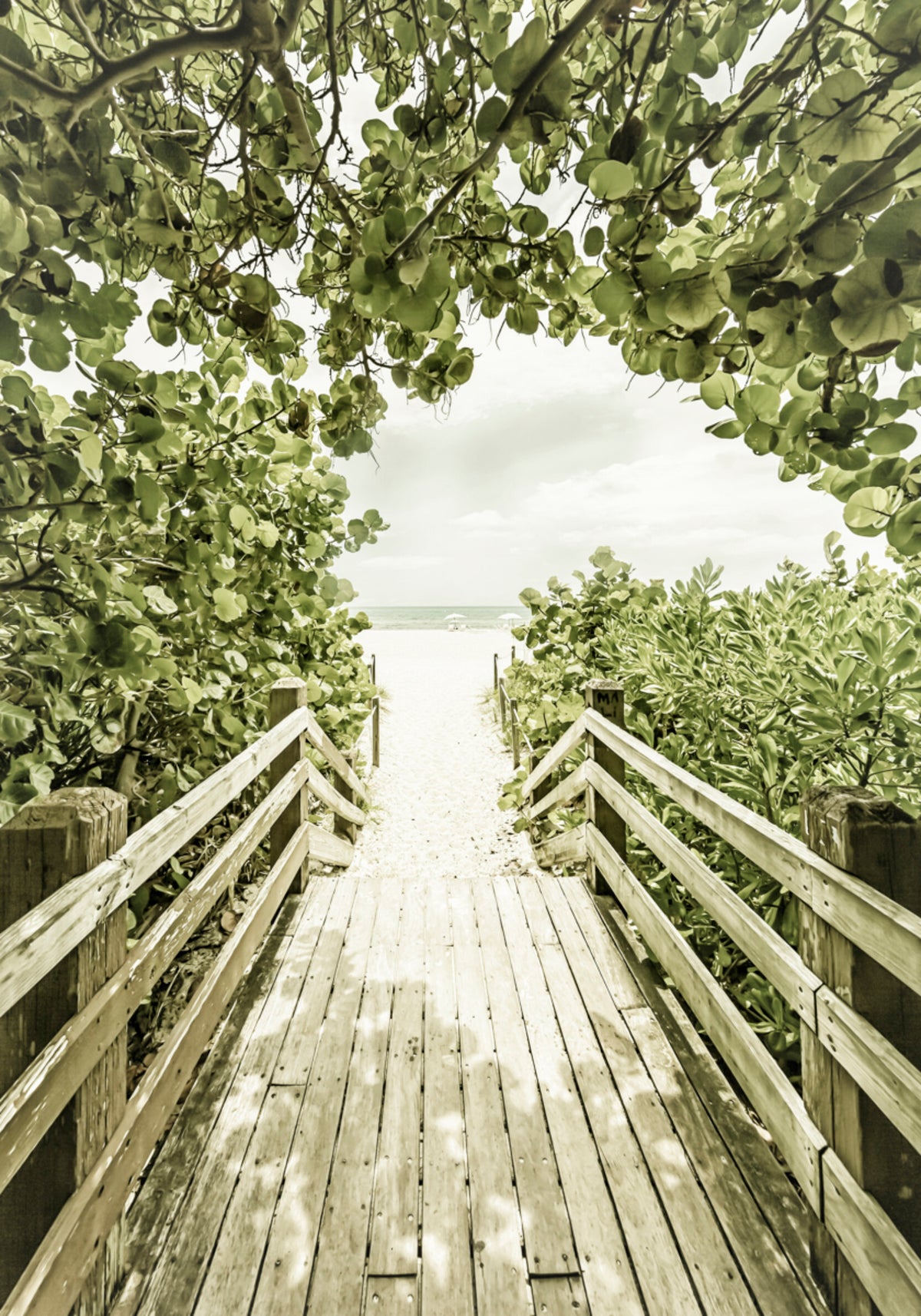 Tropisch strandpad