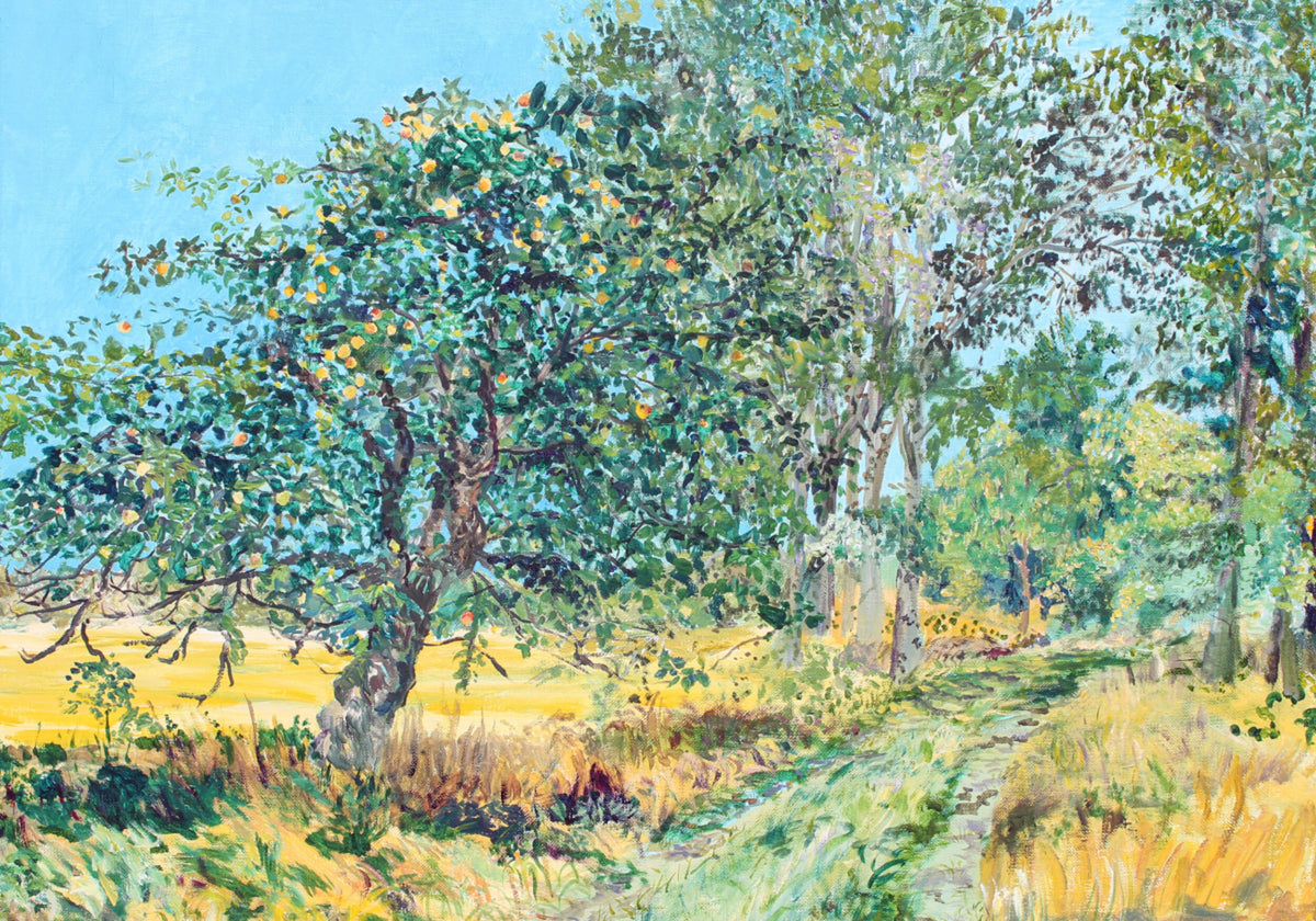Zonnig Boomgaardpad