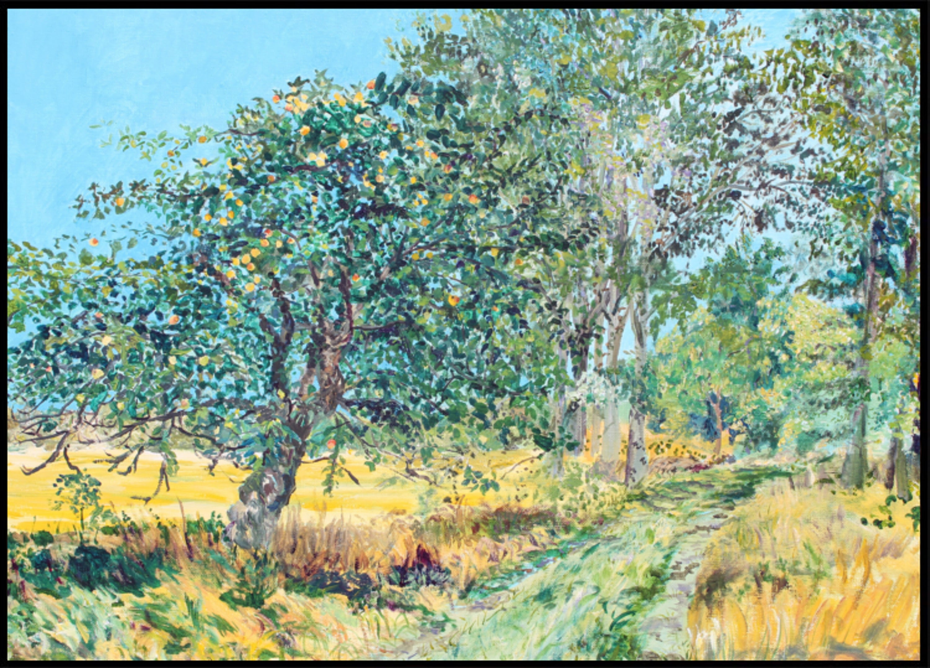 Zonnig Boomgaardpad