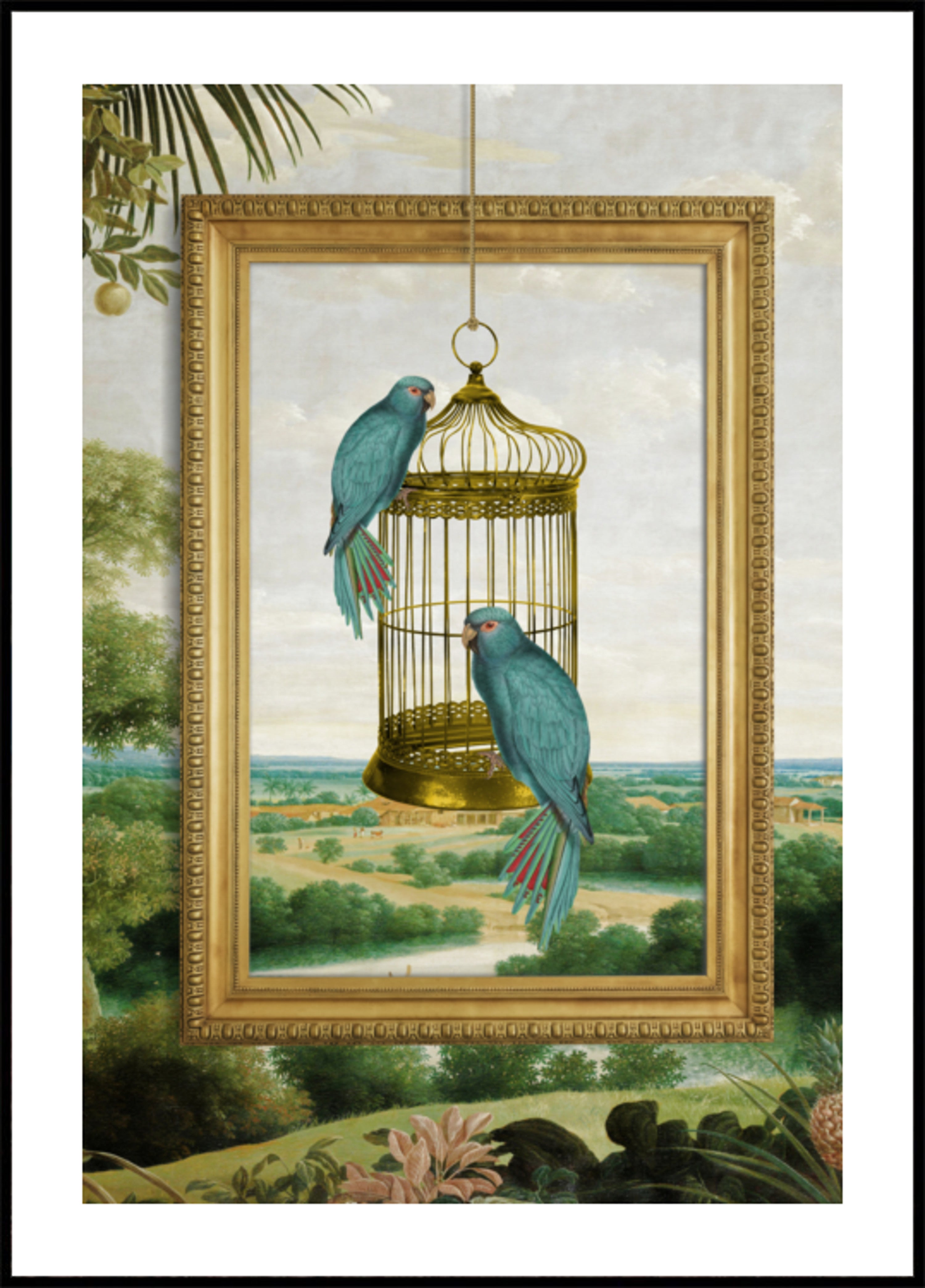 De gouden kooi van de blauwe papegaai
