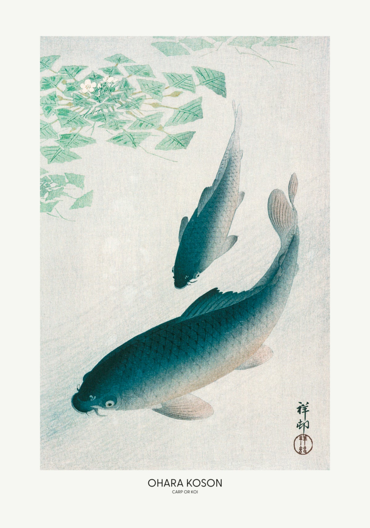 Karper of Koi