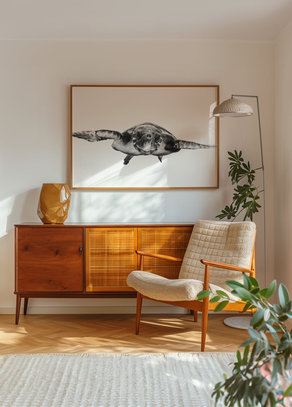 Sierlijke zeeschildpad
