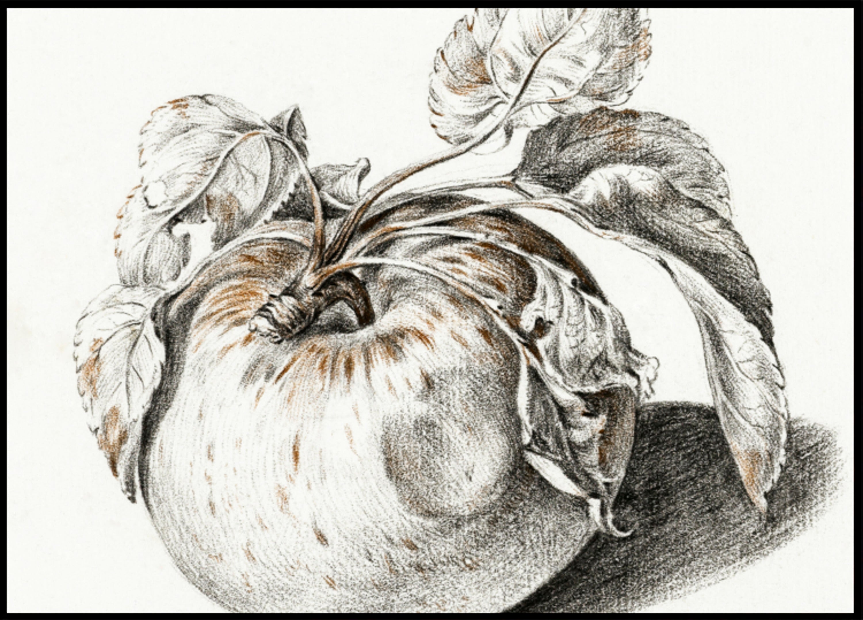 Appel