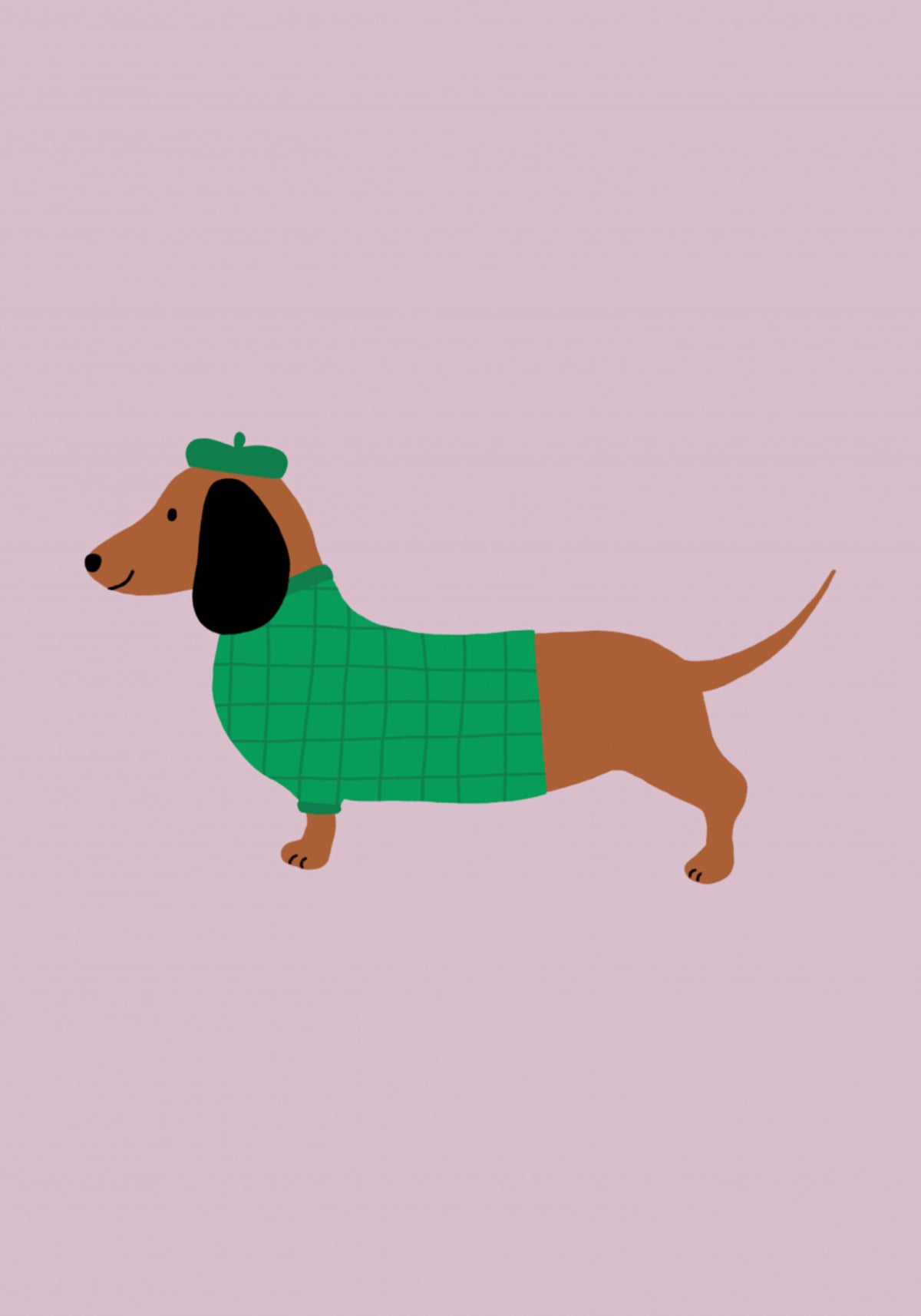 Dapper hond in trui