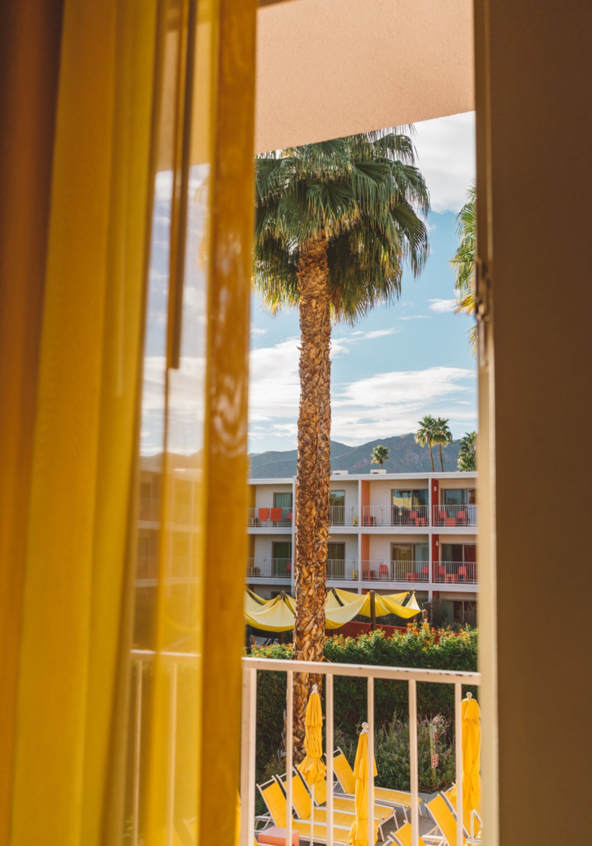 Uitzicht op het Palm Tree Resort