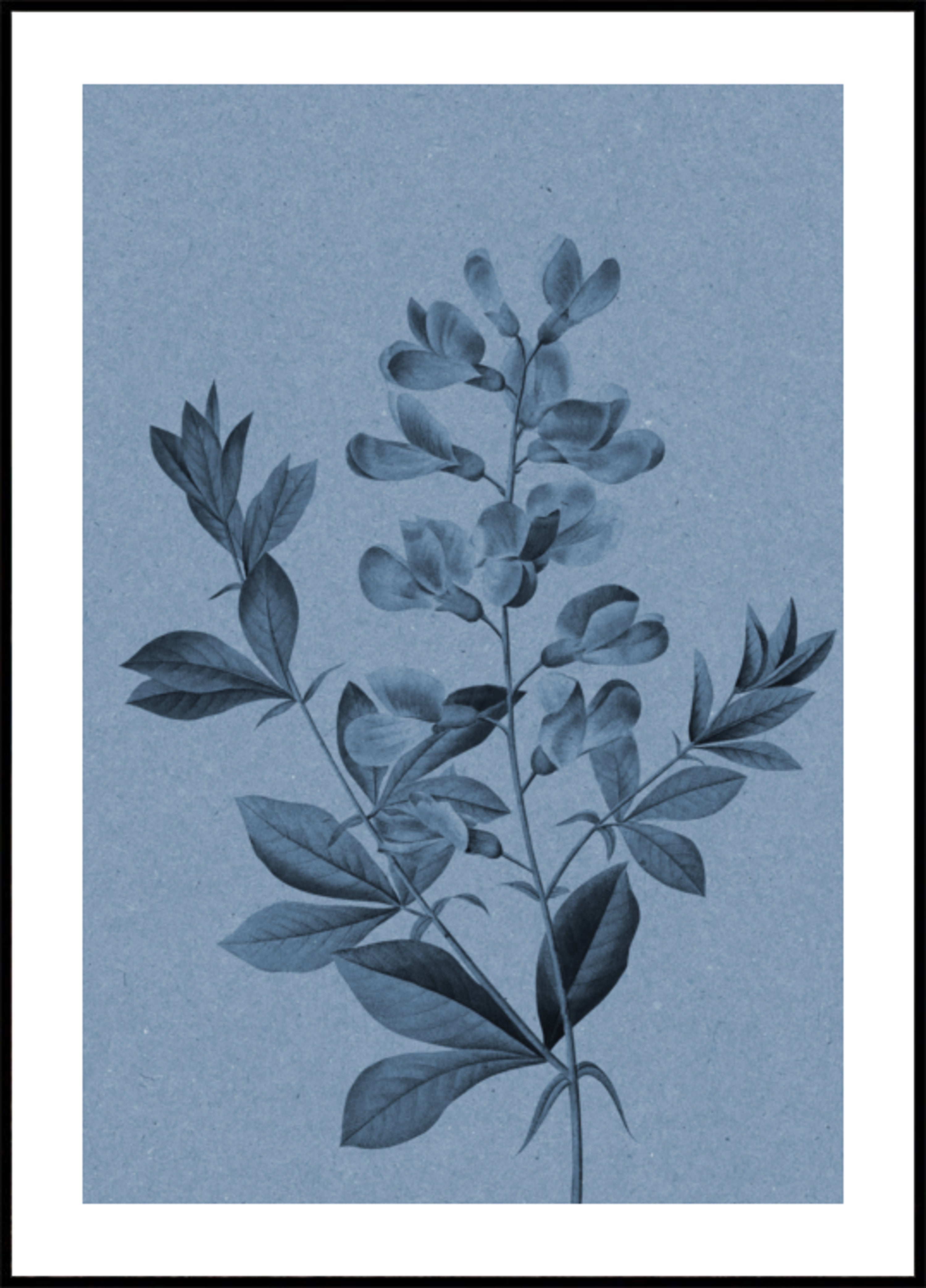 Elegante blauwe botanische